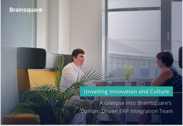 Brainsquare's Domain Driven ERP Integration Team (Cover Image)